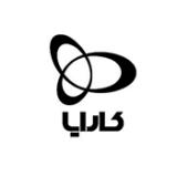 شرکت کارایا