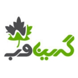 هولدینگ گرین وب